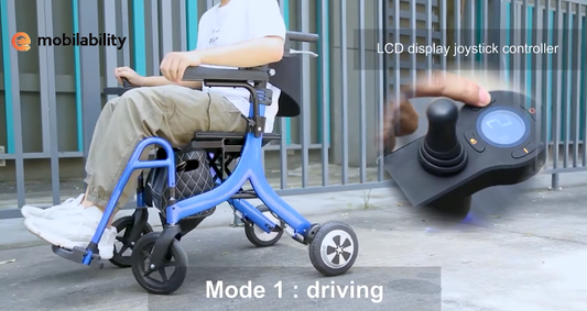 Folding Walking Stick